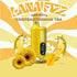 SGVape-LANA-FIZZ-12000-CHRYSANTHEMUM-TEA-SG-VAPE-PARTY