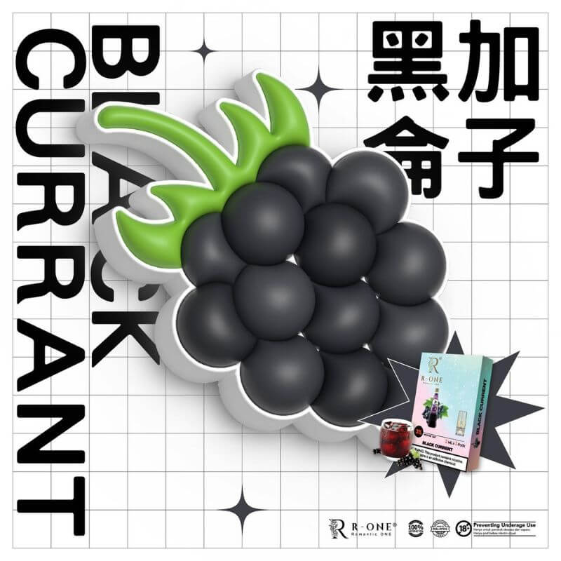 SGVape-R-ONE-PODS-BLACKCURRANT-PODS-SG-Vape-SG-Party